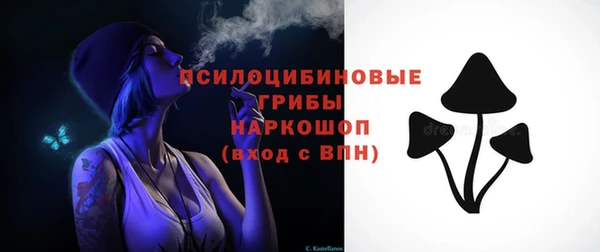 jwh Белокуриха