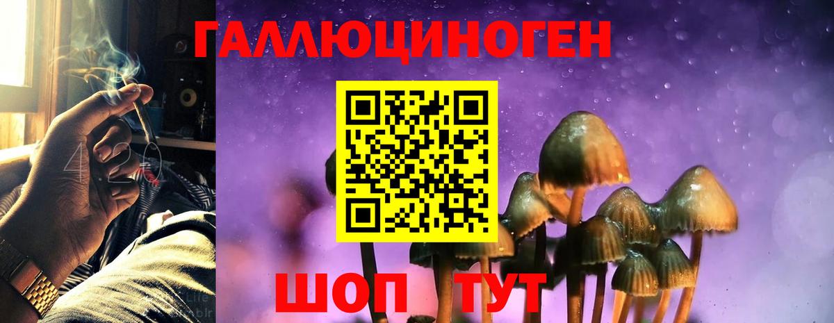 Галлюциногенные грибы мухоморы  продажа наркотиков  Воскресенск  Галлюциногенные грибы Magic Shrooms 